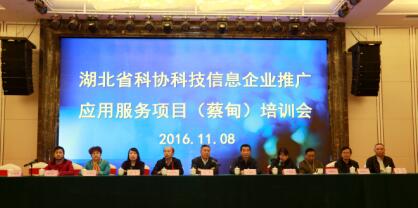 科技信息服務新篇章 2016年武漢蔡甸企業推廣應用項目培訓圓滿舉行