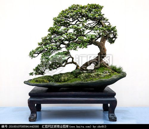 園藝盆景