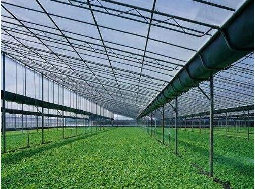 定西北方蔬菜大棚報價