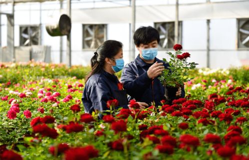 小細節大文明 花卉市場禮儀篇