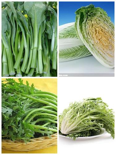 13《如果不吃青菜》 寫美篇  "青菜是綠色蔬菜的統稱,中國培養的青菜