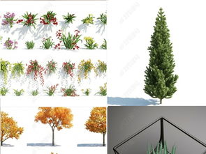 幾十款精致植物樹木花草3dmax軟件模型設(shè)計模型下載