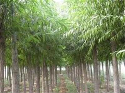 產品中心桂林江泰投資