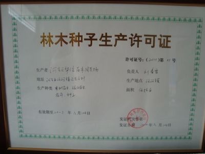 供應葡萄苗.巨峰葡萄苗.金手指葡萄苗_農(nóng)副產(chǎn)品_世界工廠網(wǎng)中國產(chǎn)品信息庫