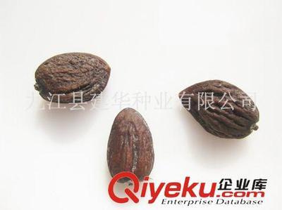 供應木蘭科種子 觀光木 香花木香木楠、宿軸木蘭 園林綠化種子-九江縣建華種業提供供應木蘭科種子 觀光木 香花木香木楠、宿軸木蘭 園林綠化種子的相關介紹、產品、服務、圖片、價格九江縣建華種業、林木種子;工程種子;園林綠化種子;花卉種子;珍稀樹種;紫玉蘭種子;羅漢松種子;黃山欒種子;小葉雞爪槭種子;桂花種子;濕地松種子;雪松種子;楠木種子;南方紅豆杉種子;櫸樹種子;杉木種子;皂角種子;楊梅種子;馬尾松種子;藍花楹種子