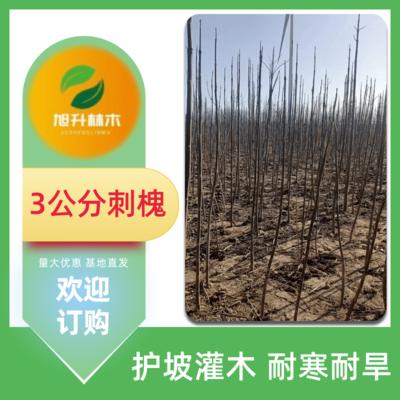 民權旭升林木種植