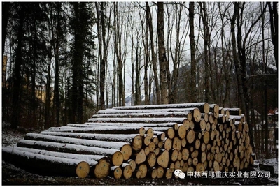 《重慶市林產(chǎn)品加工貿(mào)易發(fā)展規(guī)劃(2019-2025年)》專欄介紹貿(mào)易港項(xiàng)目