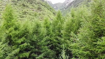 密云區(qū)榮獲2021年“中國(guó)天然氧吧”稱號(hào)