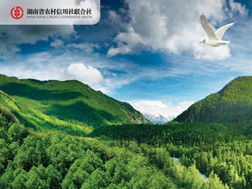 林權(quán)抵押