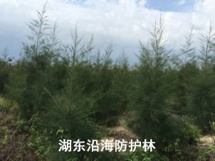 政務(wù)公開 汕尾市林業(yè)局