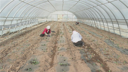 【奮進新征程 建功新時代】高臺:開足馬力加油干 沖刺首季“開門紅”