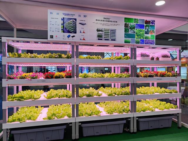 離開(kāi)土壤也能培育蔬菜鮮花走進(jìn)植物工廠解鎖現(xiàn)代農(nóng)業(yè)種植新技術(shù)