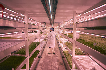 蔬菜工廠圖片- 蔬菜工廠素材- 蔬菜工廠模板下載