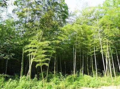小長假最全馬鞍山出游攻略,爬山、溫泉、公園…想怎么嗨就怎么嗨!